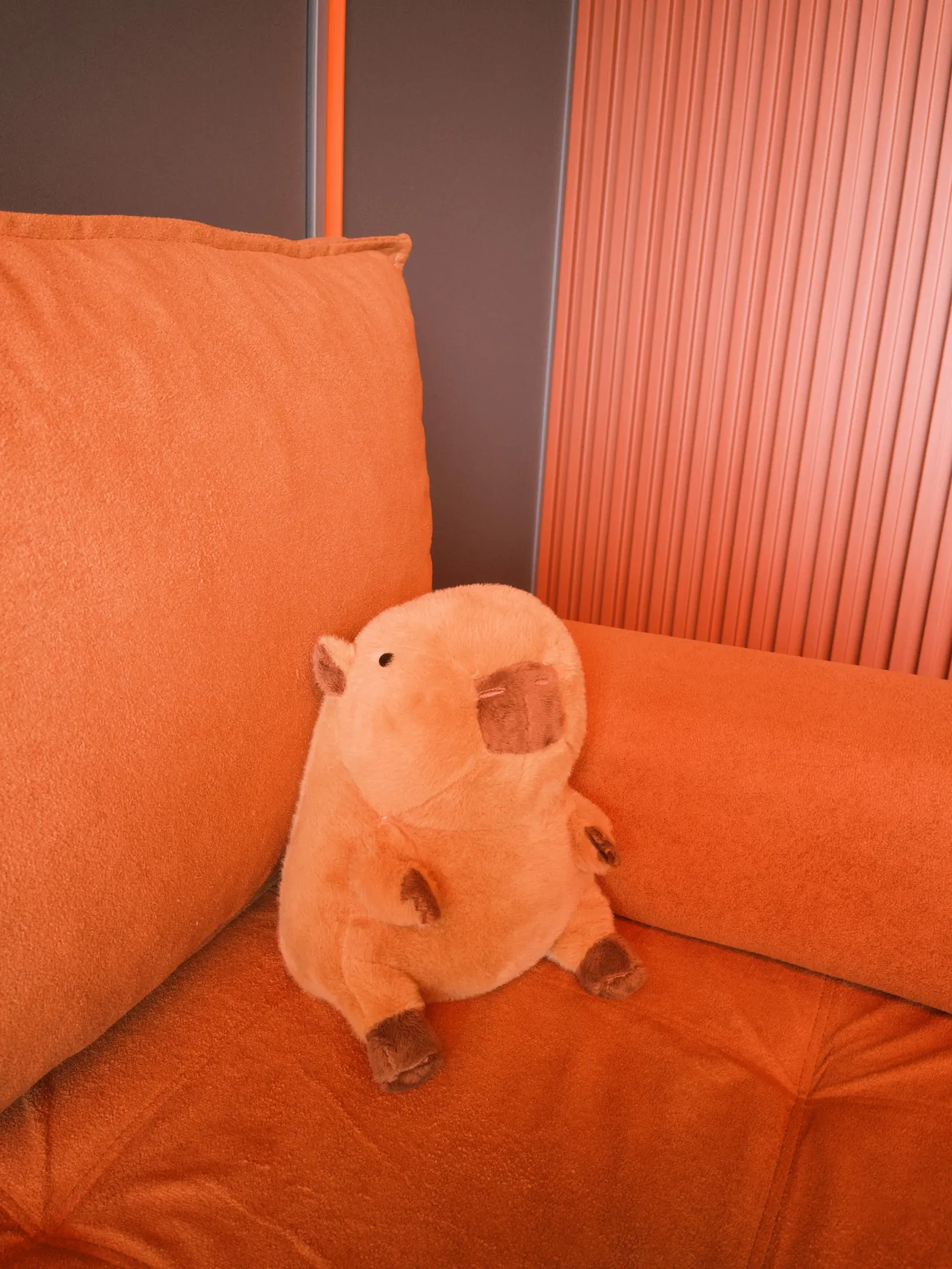 A capivara da Mumajo